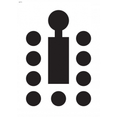 30 x Tarcze WP T3 Wojsko Polskie 480x680-Rabarbar