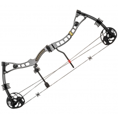 Łuk bloczkowy Poe Lang AXIS 2.5 Silver 30-70 lbs-Poe Lang