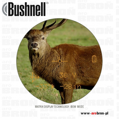 Lornetka dalmierz Bushnell Fusion 10x42 1 Mile ARC 202310-Bushnell
