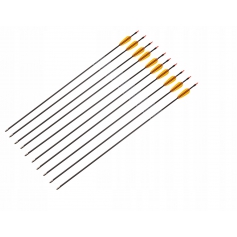 10x strzała z włókna szklanego tarczowa 30"-Poe Lang