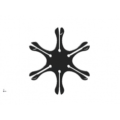 KAPISZONOWNIK GWIAZDKA DO BRONI CZARNOPROCHOWEJ-